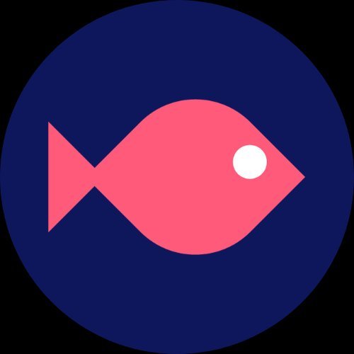 A Pesca do Dia